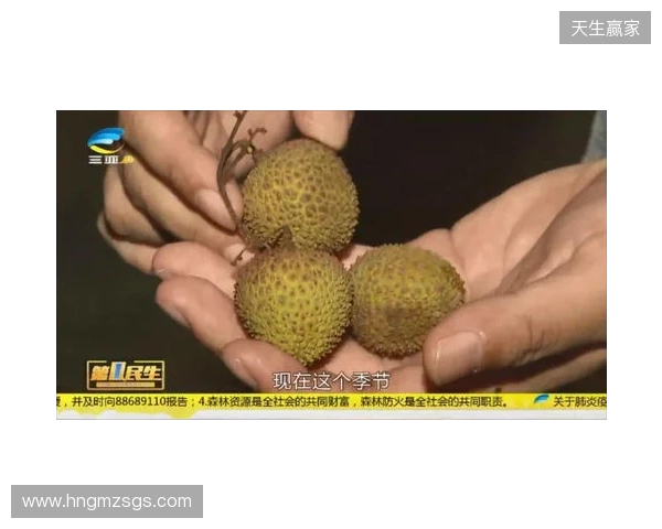 穆德里克因车窗贴膜颜色过深被拦下后,被发现禁驾期内驾驶 穆德里克因车窗贴膜颜色过深被拦下后,被发现禁驾期内驾驶